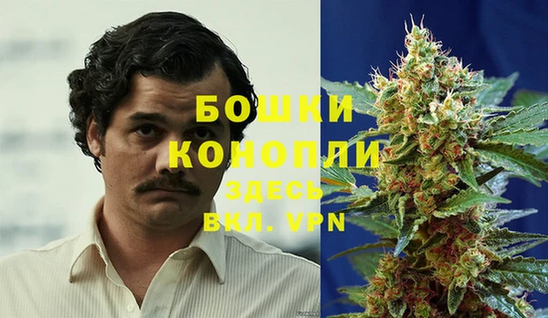 круглые Карпинск