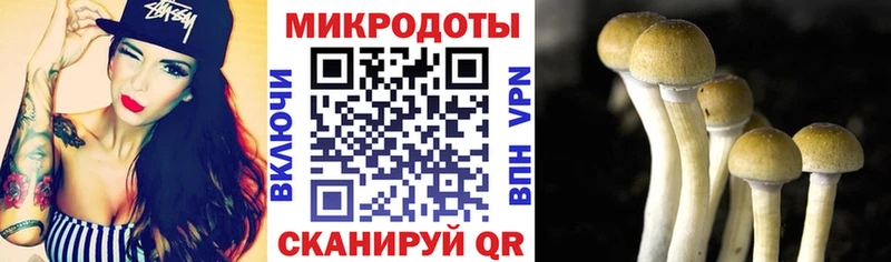 Купить  Нижние Серги  Галлюциногенные грибы мицелий 